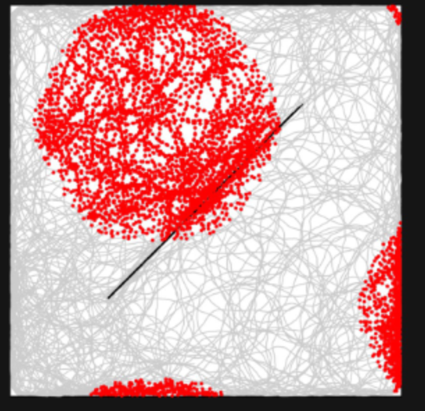 Grid cell firing in a rectangular environment containing a barrier
